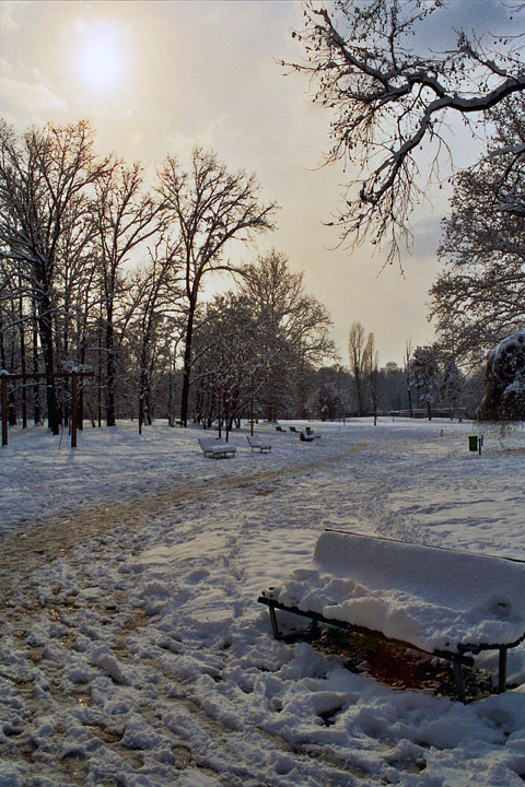 Parco Lambro